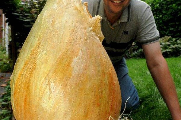 Кракен маркетплейс ссылка на сайт